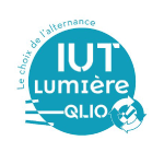 logo IUT Lumière Lyon 2 département QLIO